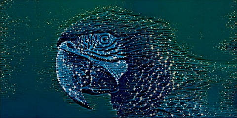 Out Today: A Ship With No Parrot